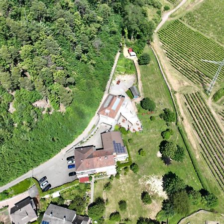 Hotel Berghof Albersweiler エクステリア 写真